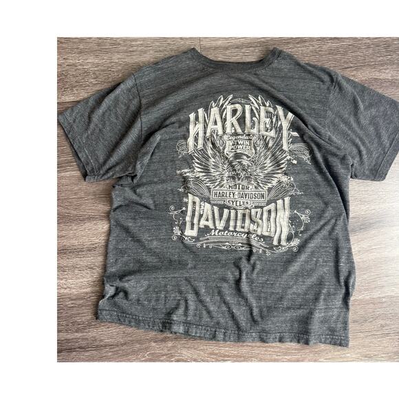 Harley-Davidson Tops - Harley Davidson Motor Company Medium Roswell GA Killer Creek Grunge Casual Tee